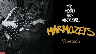 Marmozets  Vibetech Audio [upl. by Ennyletak]