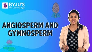 Difference Between Angiosperms And Gymnosperms [upl. by Iat]