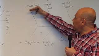 DIAGRAMA DE ISHIKAWA [upl. by Namlaz]