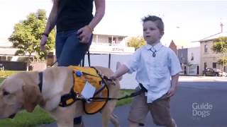 Autism Assistance Dog training with Lisa and Vespa [upl. by Lorianne561]