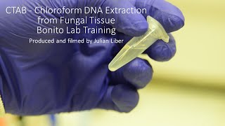 CTAB  Chloroform DNA Extraction from Fungal Tissue  Bonito Lab Training [upl. by Rednaskela]