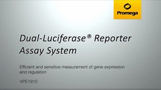 DualLuciferase® Reporter Assay System [upl. by Fredric]