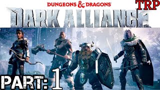 Dungeons amp Dragons Dark Alliance Walkthrough  Part 1  Drizzt DoUrden  Full Game  PC [upl. by Standley]