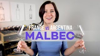 France vs Argentina Malbec Wine [upl. by Boorman570]