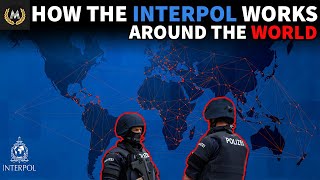 What Is The INTERPOL [upl. by Bertasi]