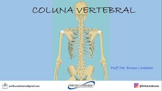 Coluna Vertebral [upl. by Chilson]